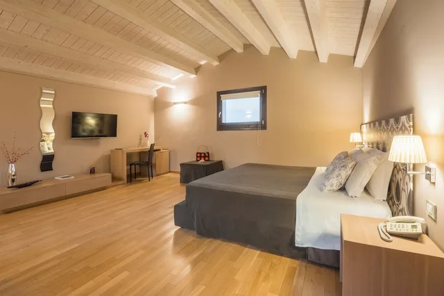 غرفة قياسية بسرير مزدوج أو سريرين منفصلين، Vittorio Veneto Hotel 8/10