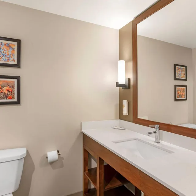 جناح بسرير كينج بغرفة نوم واحدة، Comfort Inn & Suites Gap Amish Country 4/5