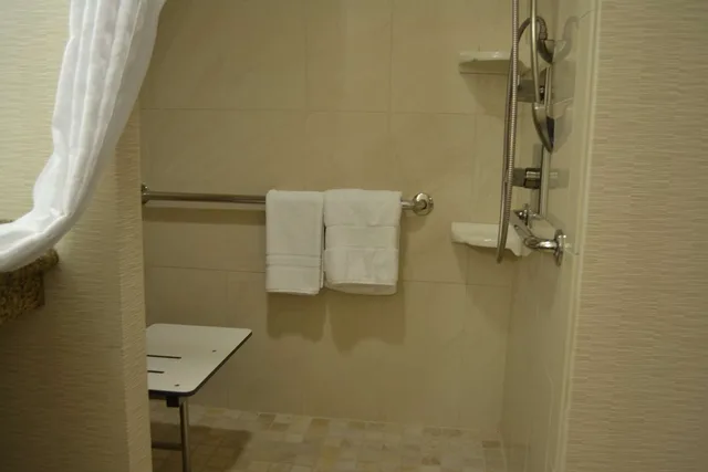 1 Bedroom, Suite, King Bed, Accessible, Embassy Suites Palmdale 1/1