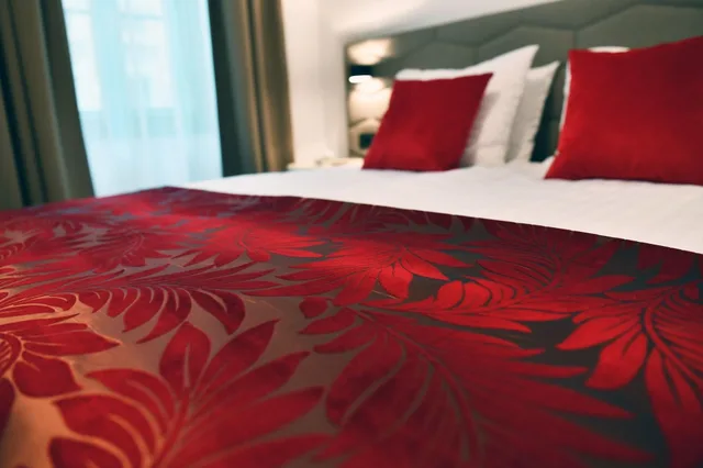 جناح جونيور بإطلالة على المدينة بغرفة نوم واحدة، Hotel Park 45 2/4