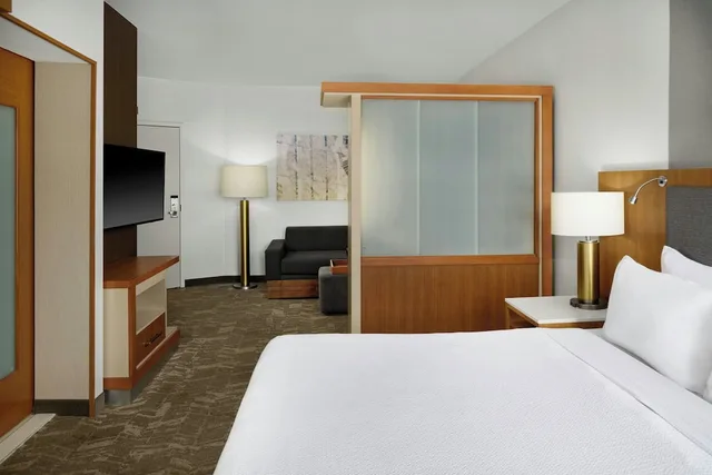 جناح بسرير كينج مع سرير سحّاب إضافي، SpringHill Suites by Marriott Detroit Metro Airport Romulus 4/10