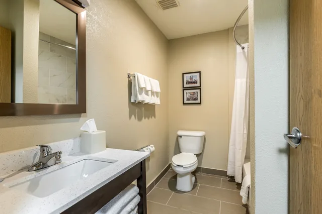 غرفة قياسية بسريرين مزدوجين، Comfort Inn Downtown Detroit MI 8/9