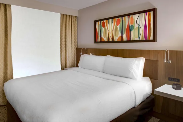 جناح بسرير كينج لذوي الإعاقة، Hilton Garden Inn Oklahoma City Airport 1/2