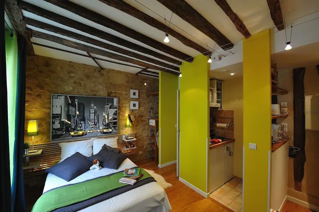Studio, Double Bed, Street View، Les Patios Du Marais 2/2