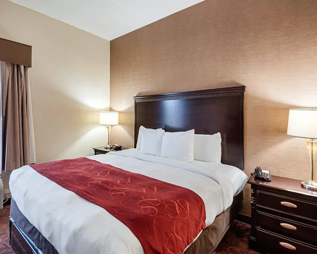 Business, Suite, King Bed, Comfort Suites Chantilly - Dulles Airport 1/2