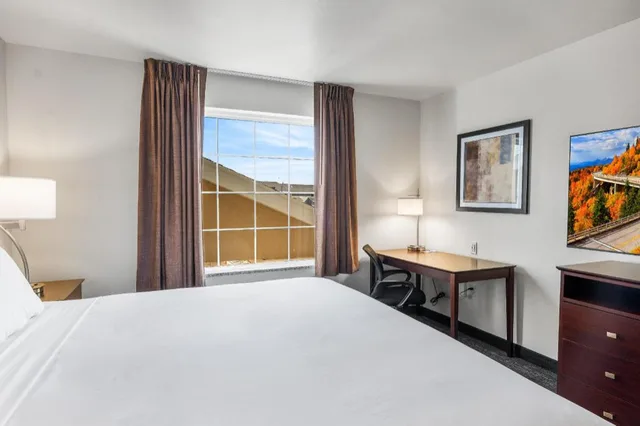 استوديو مفردة بسرير كينج، Cobblestone Hotel & Suites - Denmark 2/4