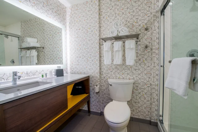 Leisure, King Bed، Holiday Inn Edmonton S Ellerslie Rd 8/8