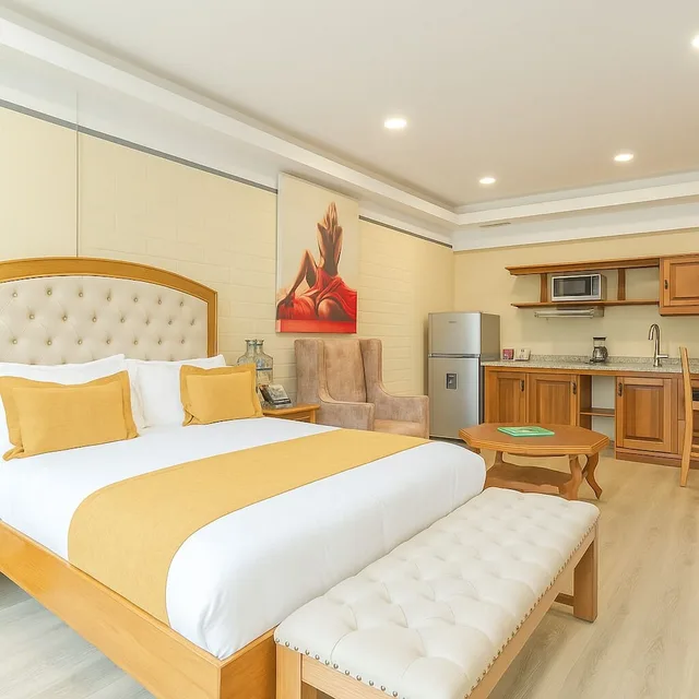 Executive, Queen Bed, Hotel Du Parc 3/10