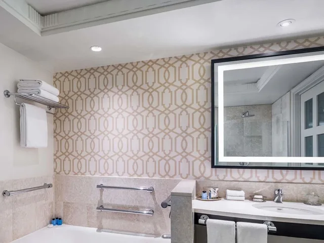 جناح جونيور بسرير كينج لذوي الإعاقة، Sofitel Washington DC Lafayette Square 5/6
