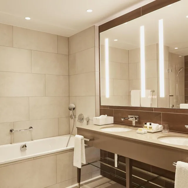 جناح تنفيذي، Hyatt Regency Amsterdam 5/6