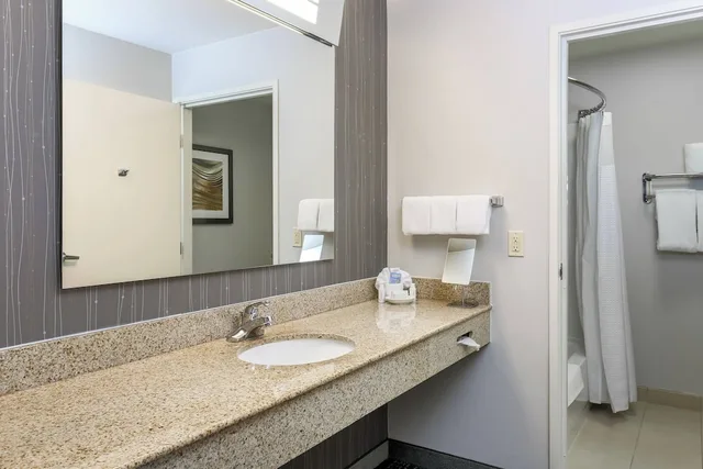 جناح بسرير كينج بشرفة بغرفة نوم واحدة مع أريكة، Courtyard by Marriott Roseville Galleria Mall/Creekside Ridge Drive 5/5