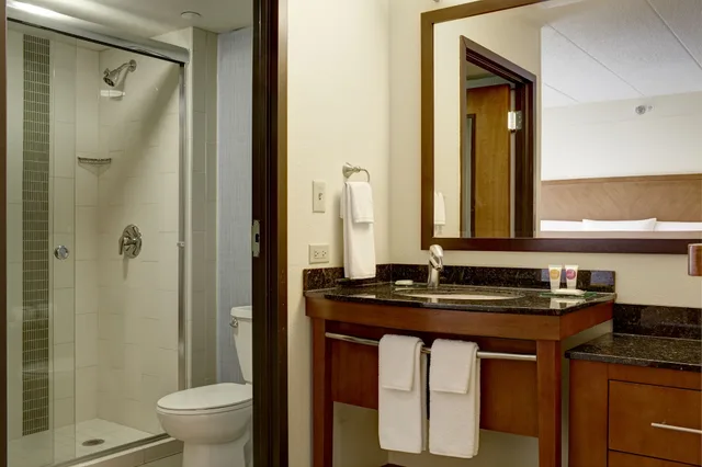 غرفة بسرير كينج في طابق مرتفع، Hyatt Place Chicago/Hoffman Estates 2/2