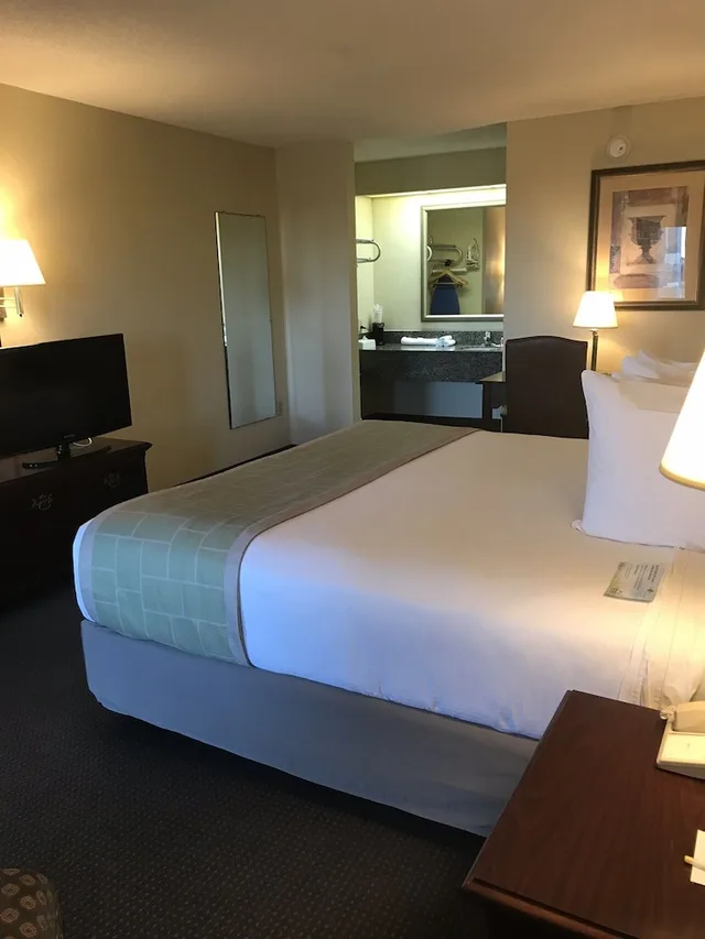 Room, King Bed, Smoking, Days Inn by Wyndham Metter 1/4