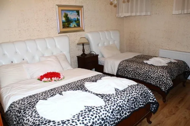 غرفة ديلوكس ثلاثية بسرير مزدوج وسرير فردي، OTTOMAN ELEGANCE HOTEL 4/6