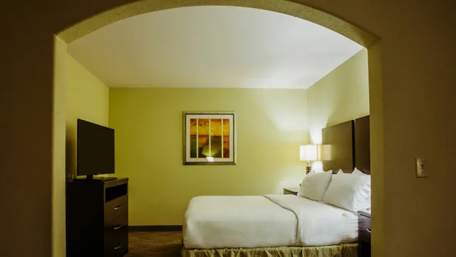 جناح بسرير كينج لذوي الإعاقة، Holiday Inn Express & Suites Waller - Prairie View 1/1