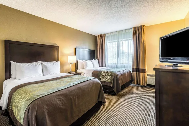 غرفة قياسية بسريرين مزدوجين، Comfort Inn Downtown Detroit MI 2/9