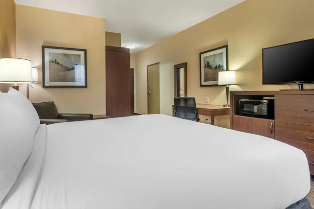 Standard, King Bed, Accessible, Best Western Plus Bathurst Hotel Suites 1/3