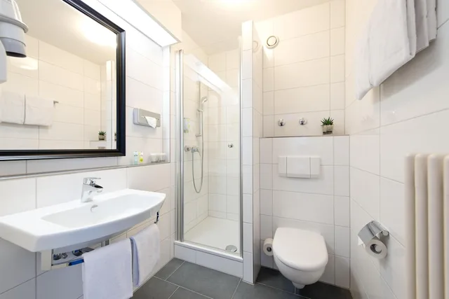 غرفة بزنس بسريرين منفصلين، Achat Hotel Neustadt An Der Weinstrasse 7/7