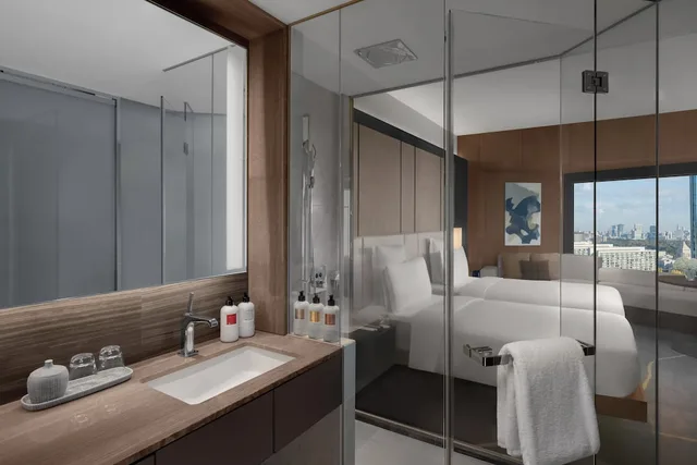 Premium, Twin Beds, Club Lounge Access, Ana Intercontinental Tokyo 4/6