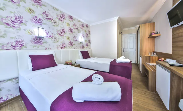 غرفة قياسية بسريرين منفصلين، Alanya Buyuk Hotel 8/10
