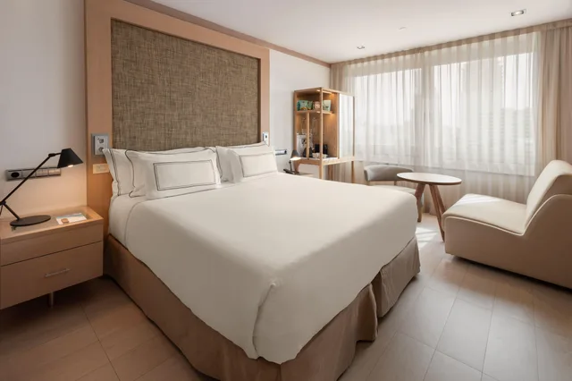 غرفة ديلوكس بسرير مزدوج، Melia Madrid Princesa Hotel 4/8