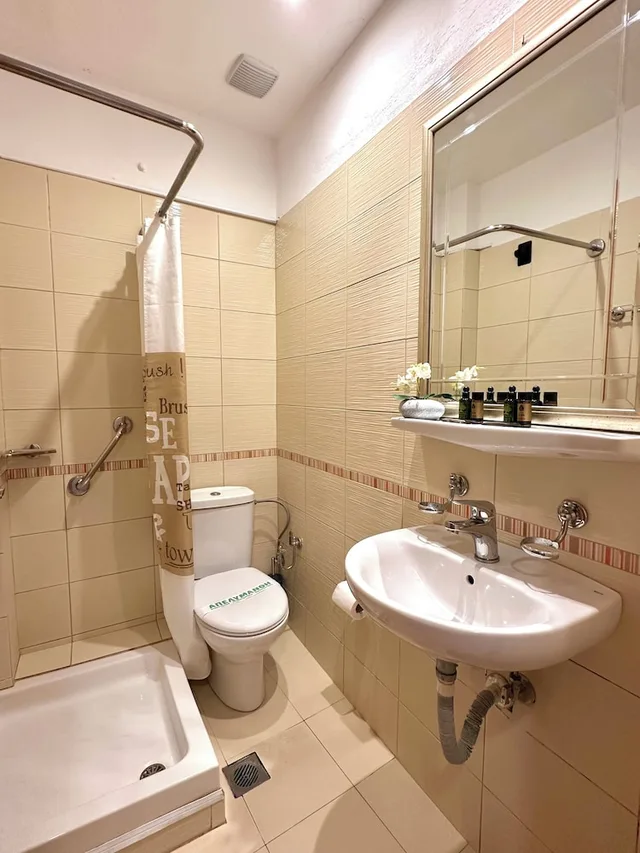 غرفة قياسية مفردة، Acropole Delphi Hotel 5/7