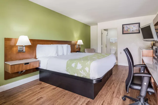 غرفة قياسية بسرير كينج لذوي الإعاقة، Econo Lodge Atlanta Airport East 1/3