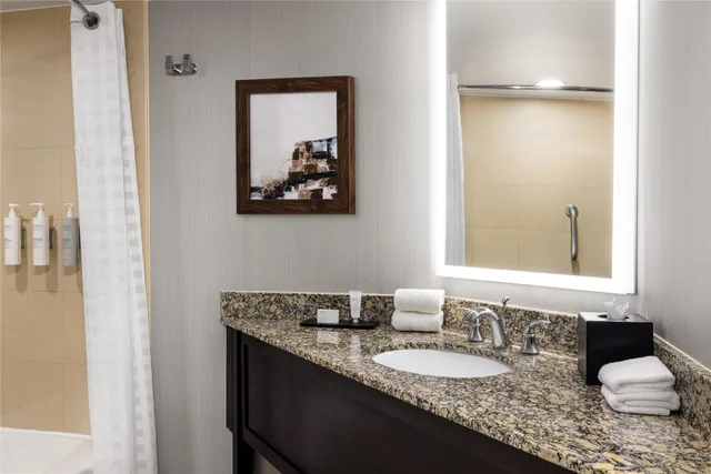 جناح بريميوم بسرير كينج لذوي الإعاقة، Embassy Suites by Hilton Birmingham 3/4