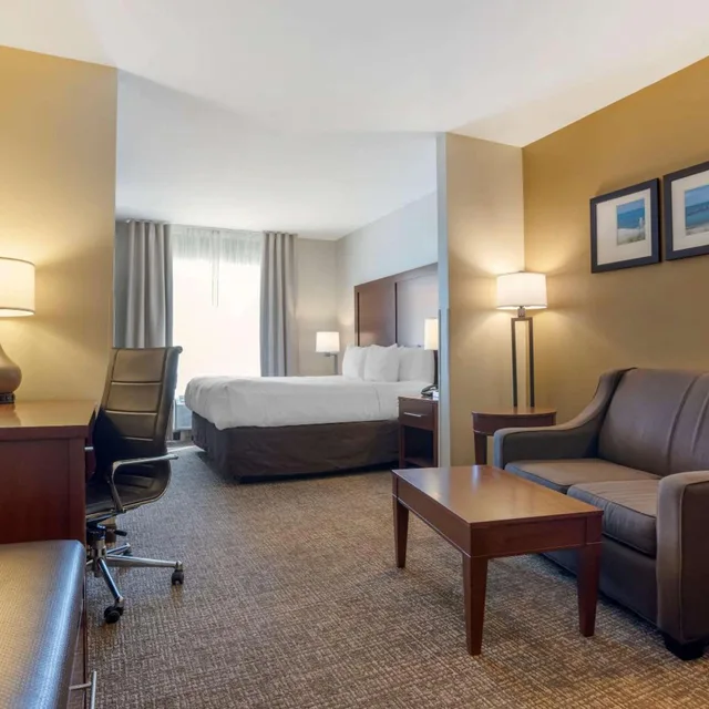 جناح بسرير كينج مع أريكة، Comfort Suites Foley - North Gulf Shores 6/9