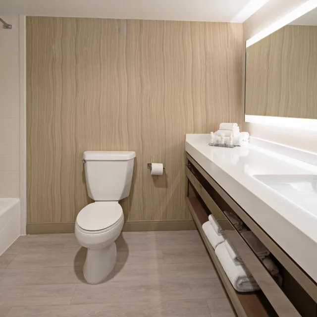 غرفة بسرير كينج مع أريكة بحوض استحمام لذوي الإعاقة، Tucson Marriott University Park 10/10