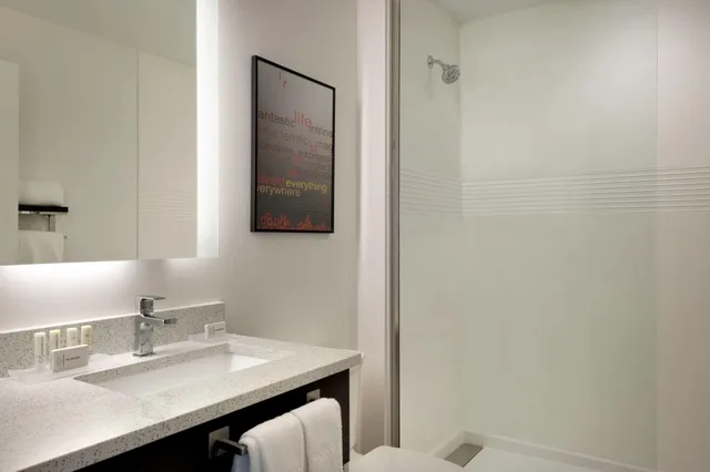 استوديو بسرير كينج، TownePlace Suites by Marriott Minooka 5/6