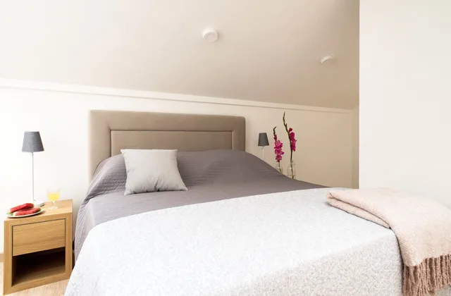 Deluxe, Apartment, Double Bed, Two Story, Sofa، Apart Residence Tww Krakow 2/8