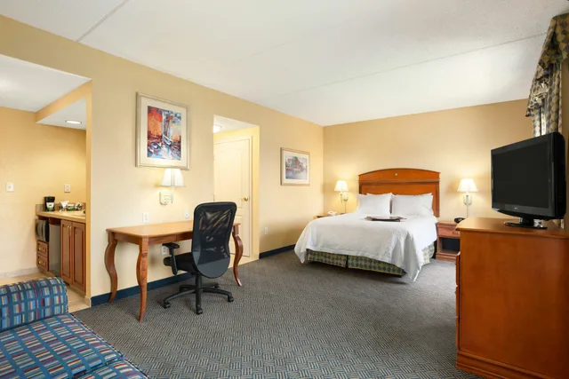استوديو بسرير كوين لذوي الإعاقة، Hampton Inn Geneva 1/3