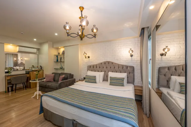 Deluxe Standard 102، Hotel the Marions Suite 1/6