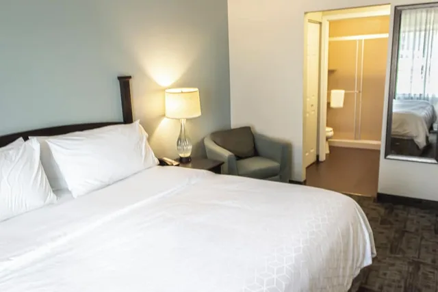 جناح بسرير كينج بغرفة نوم واحدة بمطبخ لذوي الإعاقة، Staybridge Suites Minot 1/5