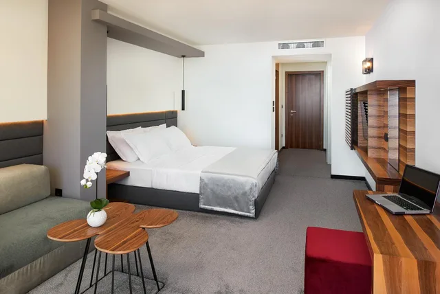 Deluxe, Double Bed, Lateral Side Sea View, Hotel Ani - Adults Only 1/5