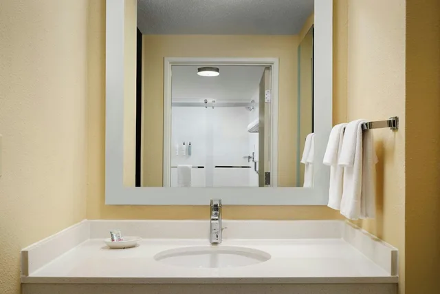 استوديو بسرير كينج مع أريكة لذوي الإعاقة، Springhill Suites by Marriott Austin South 4/5