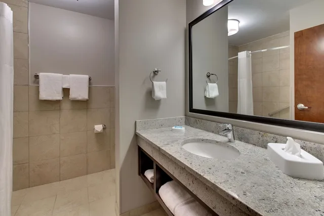 غرفة ديلوكس بسرير كينج لذوي الإعاقة، Drury Inn & Suites Columbus Polaris 7/8