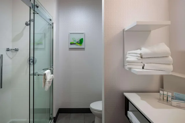 غرفة لذوي الإعاقة، Hampton Inn And Suites Dallas/Plano Central 5/5