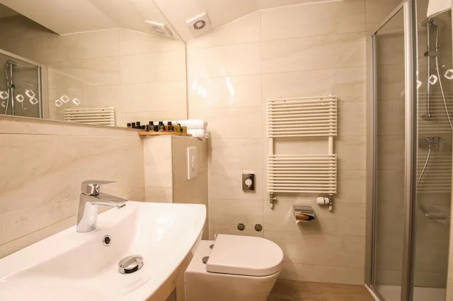 غرفة قياسية بسرير كوين، Hotel Evropa Celje 6/6