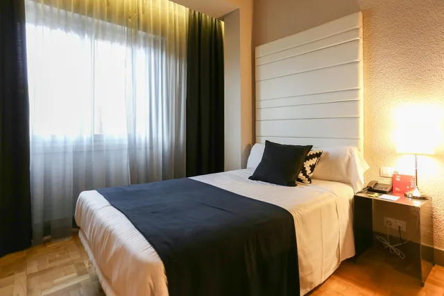 غرفة قياسية بسريرين منفصلين، Hotel Sercotel Leyre 1/10