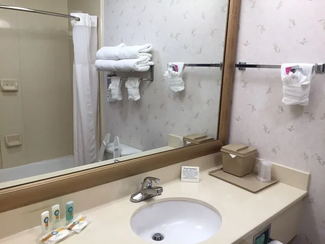 غرفة قياسية مع أريكة، Quality Inn and Suites Near University 5/6