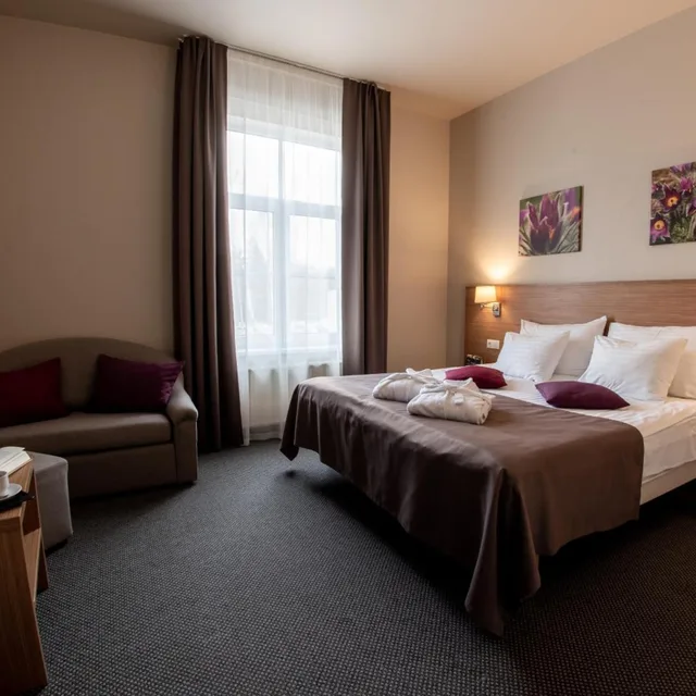 غرفة كومفورت بسرير مزدوج، Sigulda Hotel 2/10