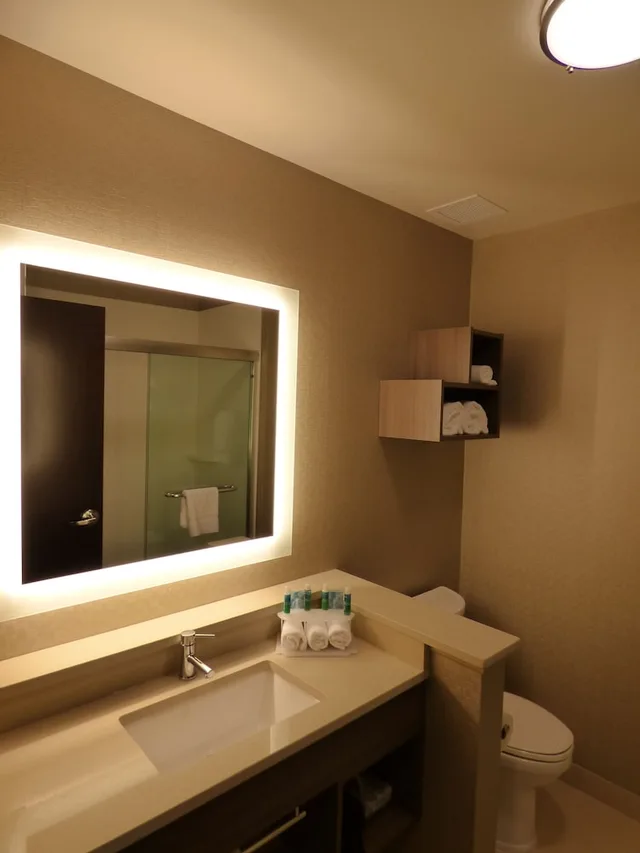 غرفة قياسية بسرير كينج، Holiday Inn Express And Suites Plymouth Ann Arbor Area 5/6