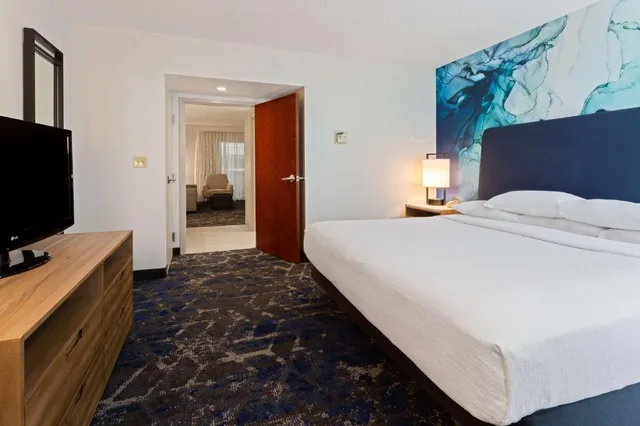 غرفة بسرير كينج بغرفة نوم واحدة مع أريكة لذوي الإعاقة، Embassy Suites By Hilton Tampa Usf Near Busch Gardens 3/6