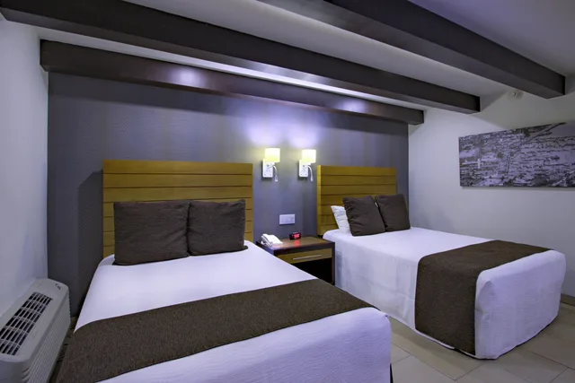 غرفة قياسية بسريرين مزدوجين، Hotel La Pinta 3/7