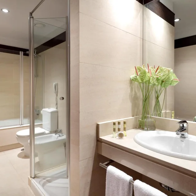 غرفة قياسية مفردة، Eurostars Palacio Santa Marta 11/12