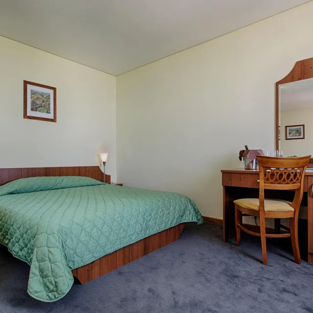 جناح جونيور بسرير مزدوج، Hemus Hotel Sofia 4/5