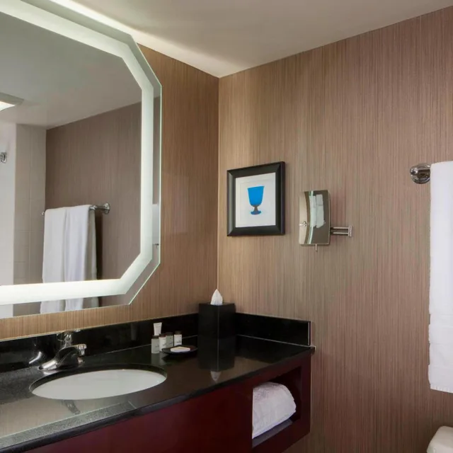 غرفة بسرير كينج في طابق منخفض، Sheraton DFW Airport Hotel 4/8