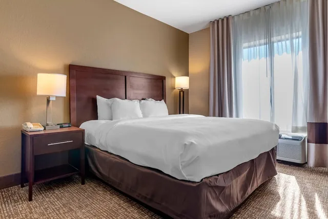 جناح بسرير كينج مع أريكة لذوي الإعاقة، Comfort Inn & Suites Clinton - Jackson West 2/3